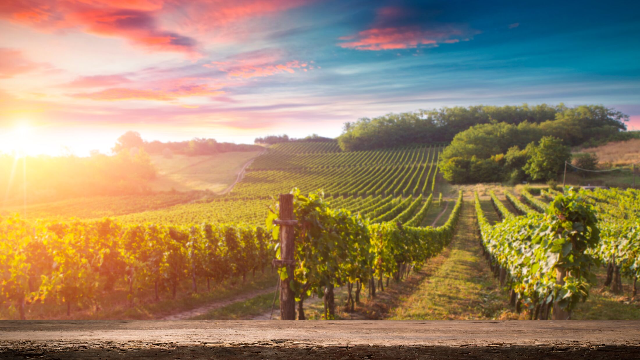 Red wine bottle and wine glass on wodden barrel. Beautiful Tuscany background