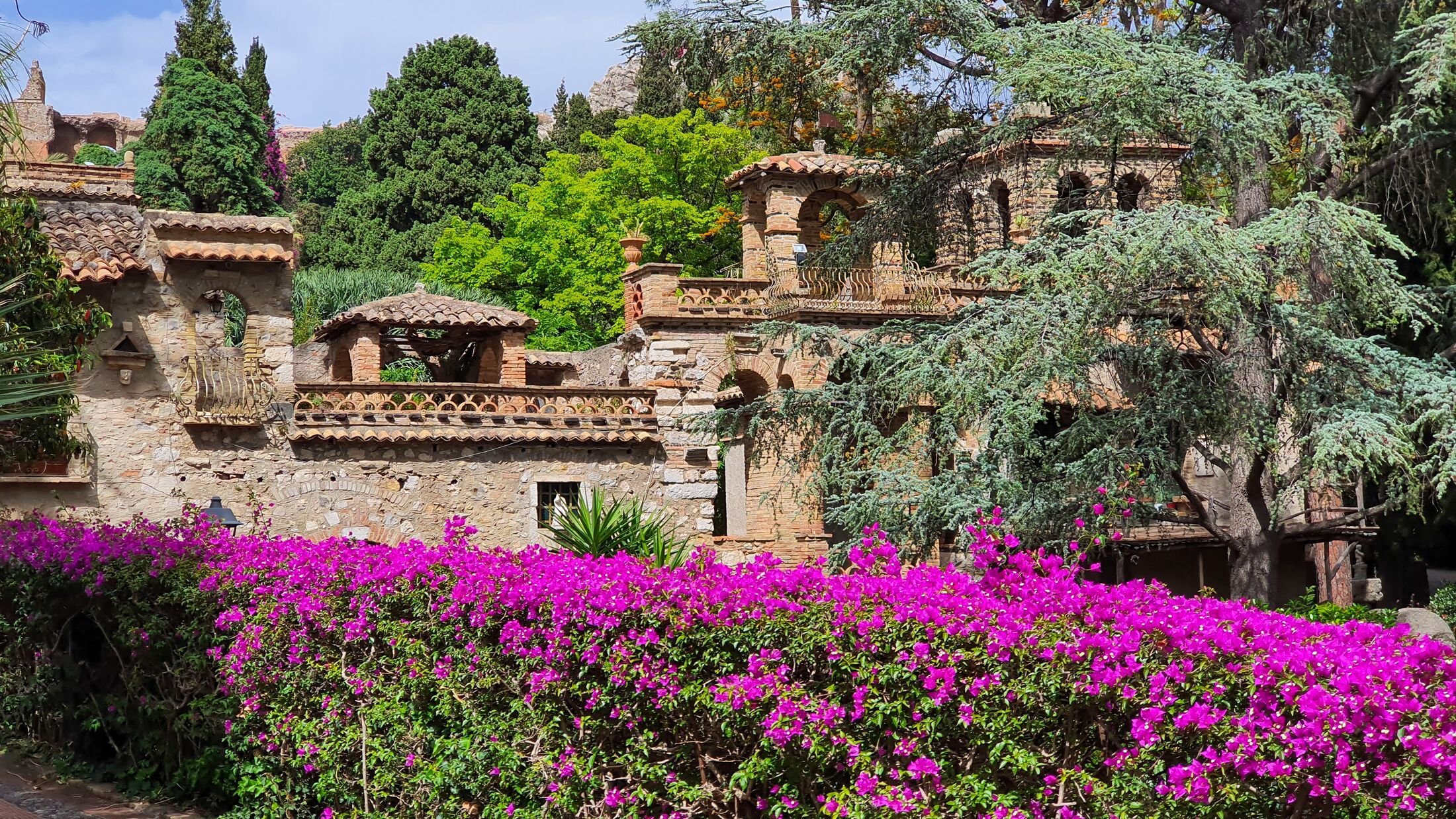 View of Villa comunale di Taormina public gardens in Sicily during summer. Beautiful pink Bougainvillea flowers surrounded by lush vegetation and trees with buildings in the background.