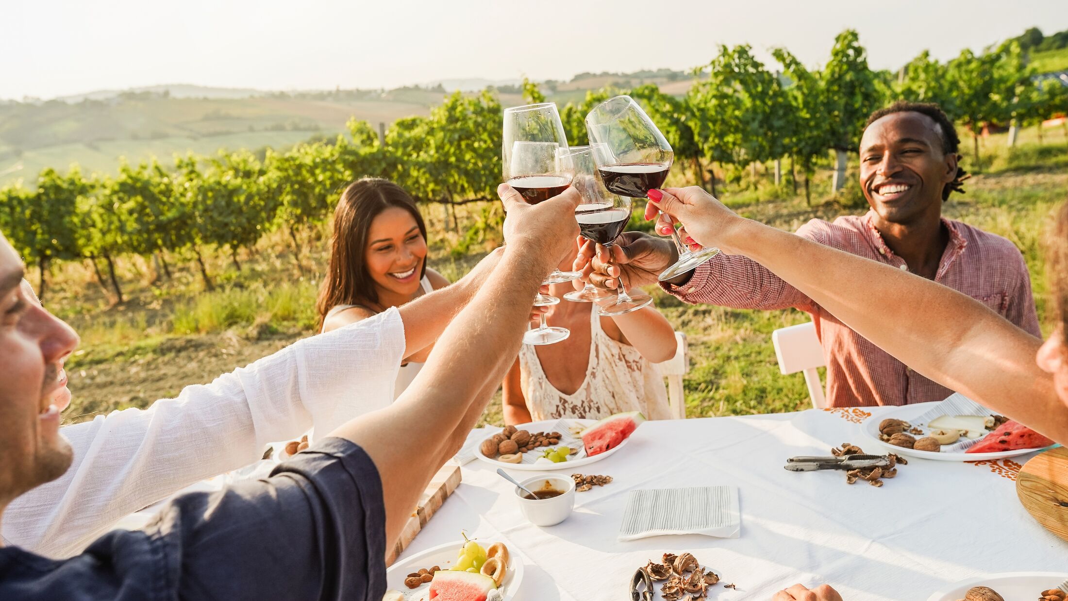 Happy adult friends having fun drinking red wine and eating together with vineyard in background - Multiracial people doing appetizer at summer time in countryside resort - Main focus on hands