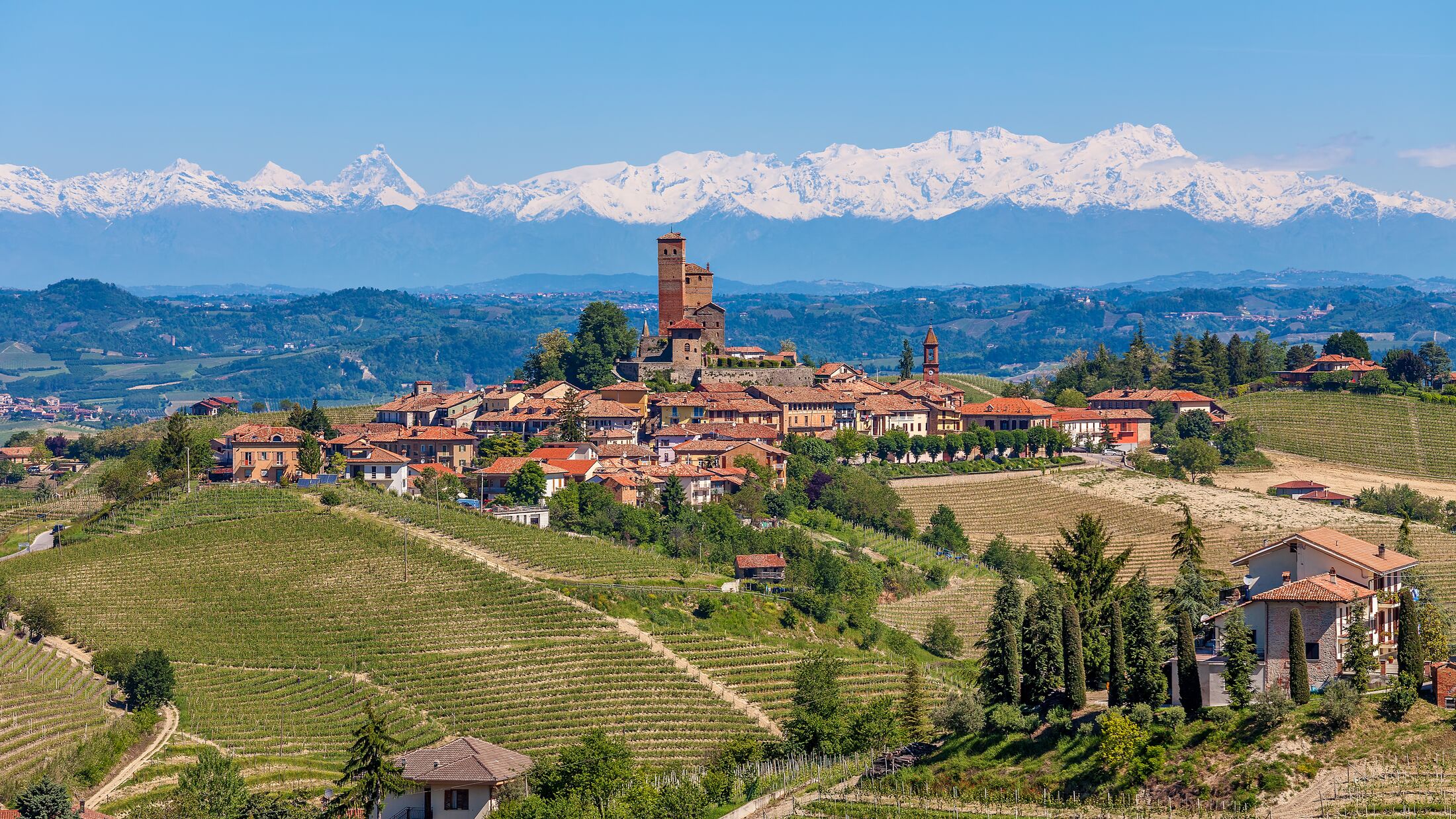 Small town on the hill surrounded by green vineyards and mountains with snowy peaks on background in Piedmont, Northern Italy.