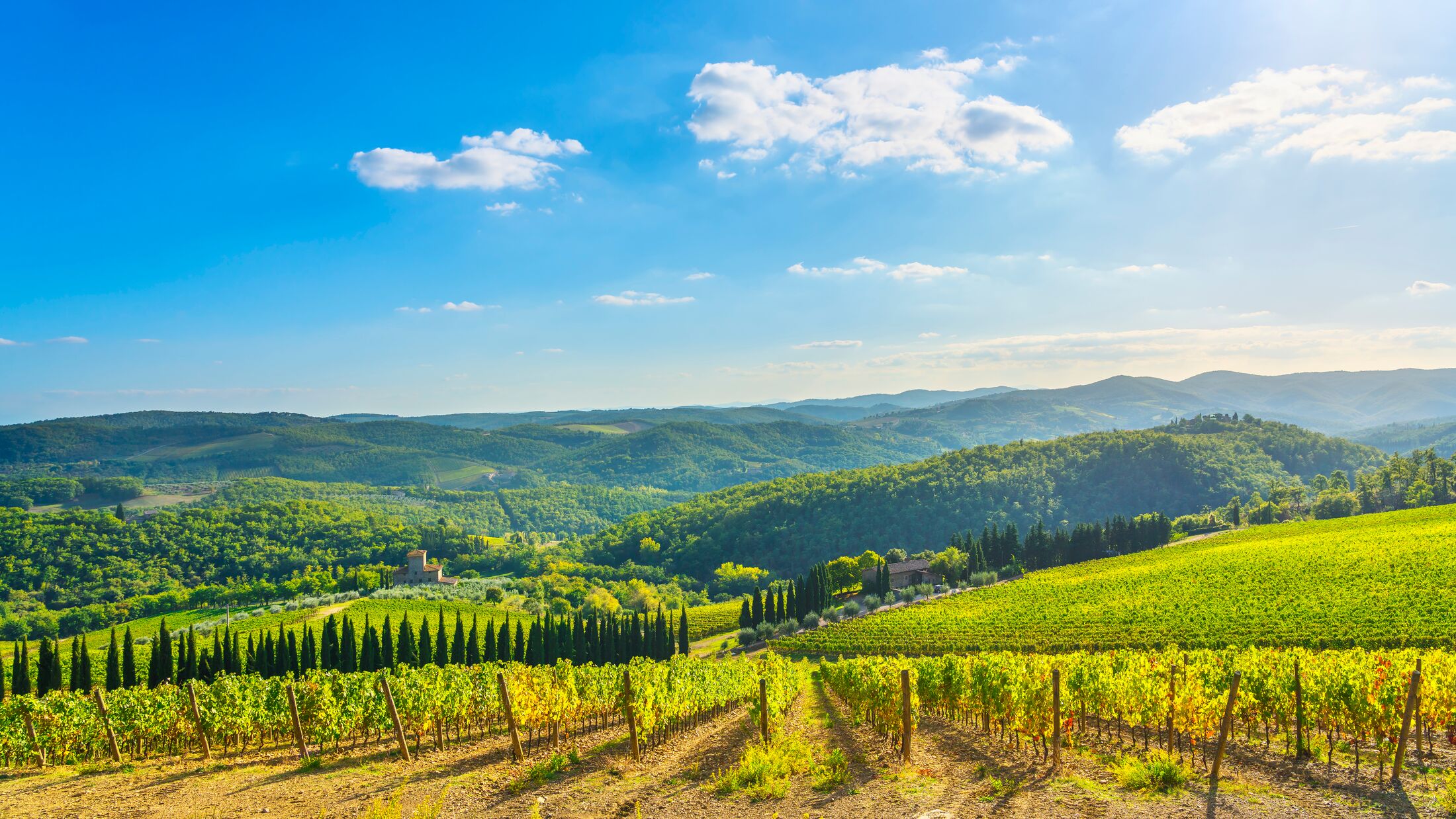 Radda in Chianti vineyard and panorama in autumn. Tuscany, Italy, Europe.