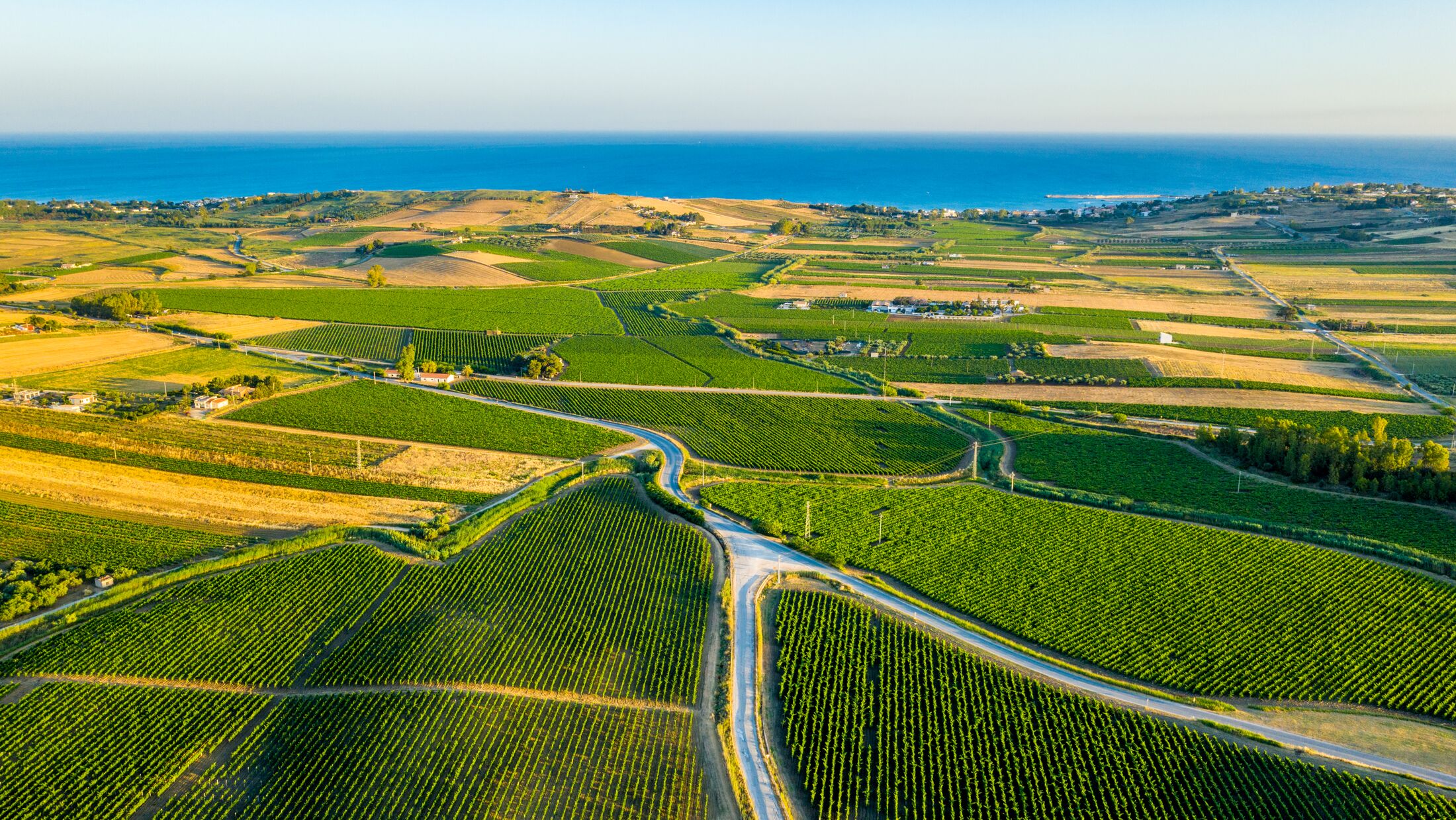 Aerial shot of the vineyards near Menfi in southwestern Sicily, Italy