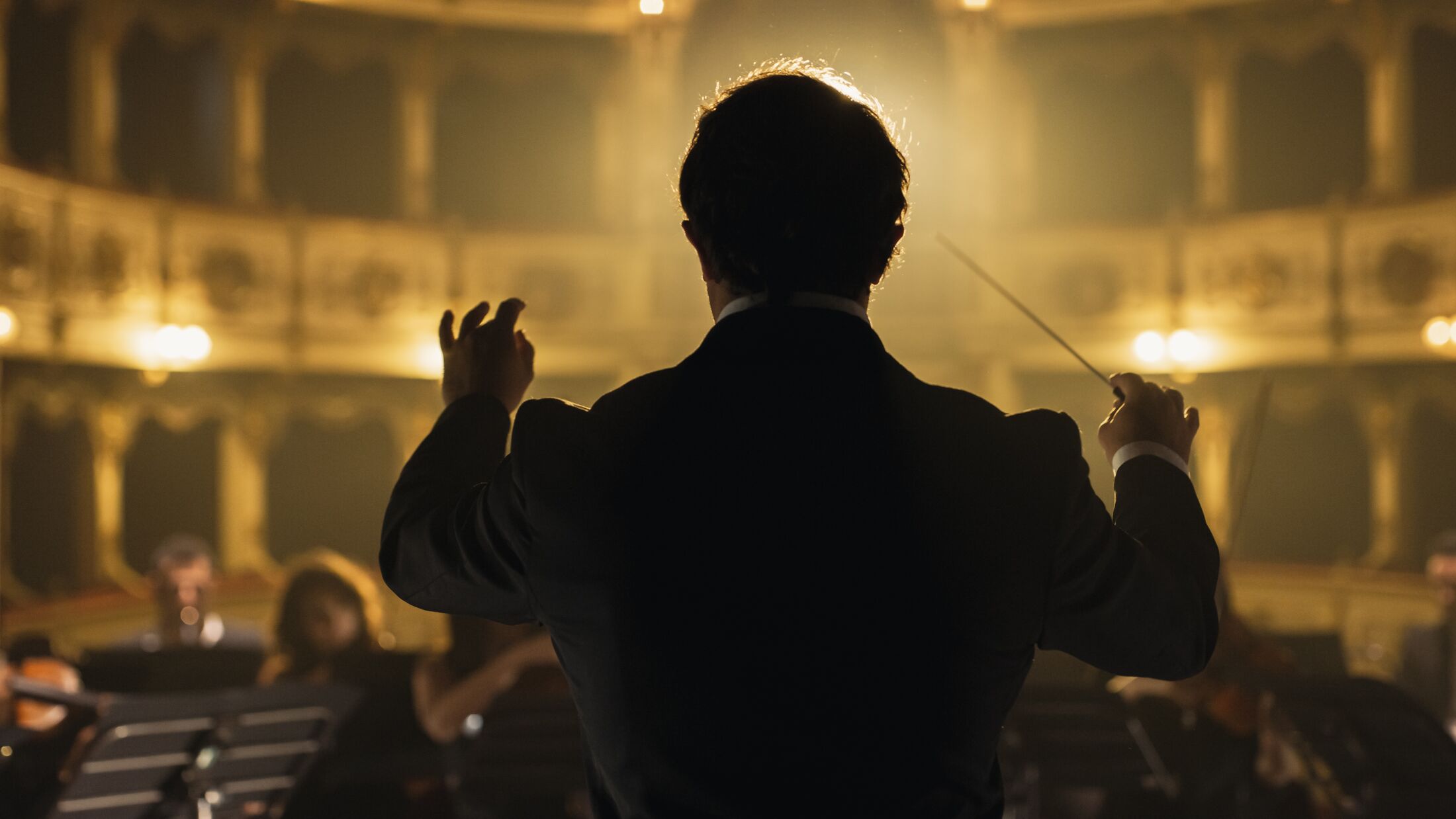 Back View Cinematic shot of Conductor Directing Symphony Orchestra with Performers Playing Violins, Cello and Trumpet on Classic Theatre with Curtain Stage During Music Concert