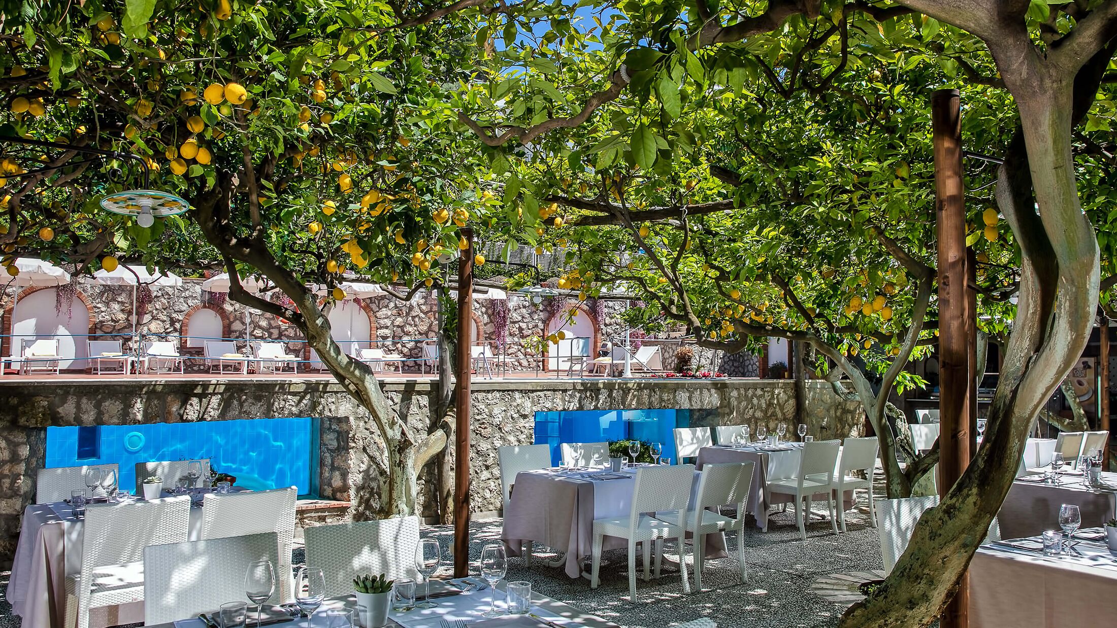 Syrene-2024-Restaurant-Limonaia-001-300341-Hybris